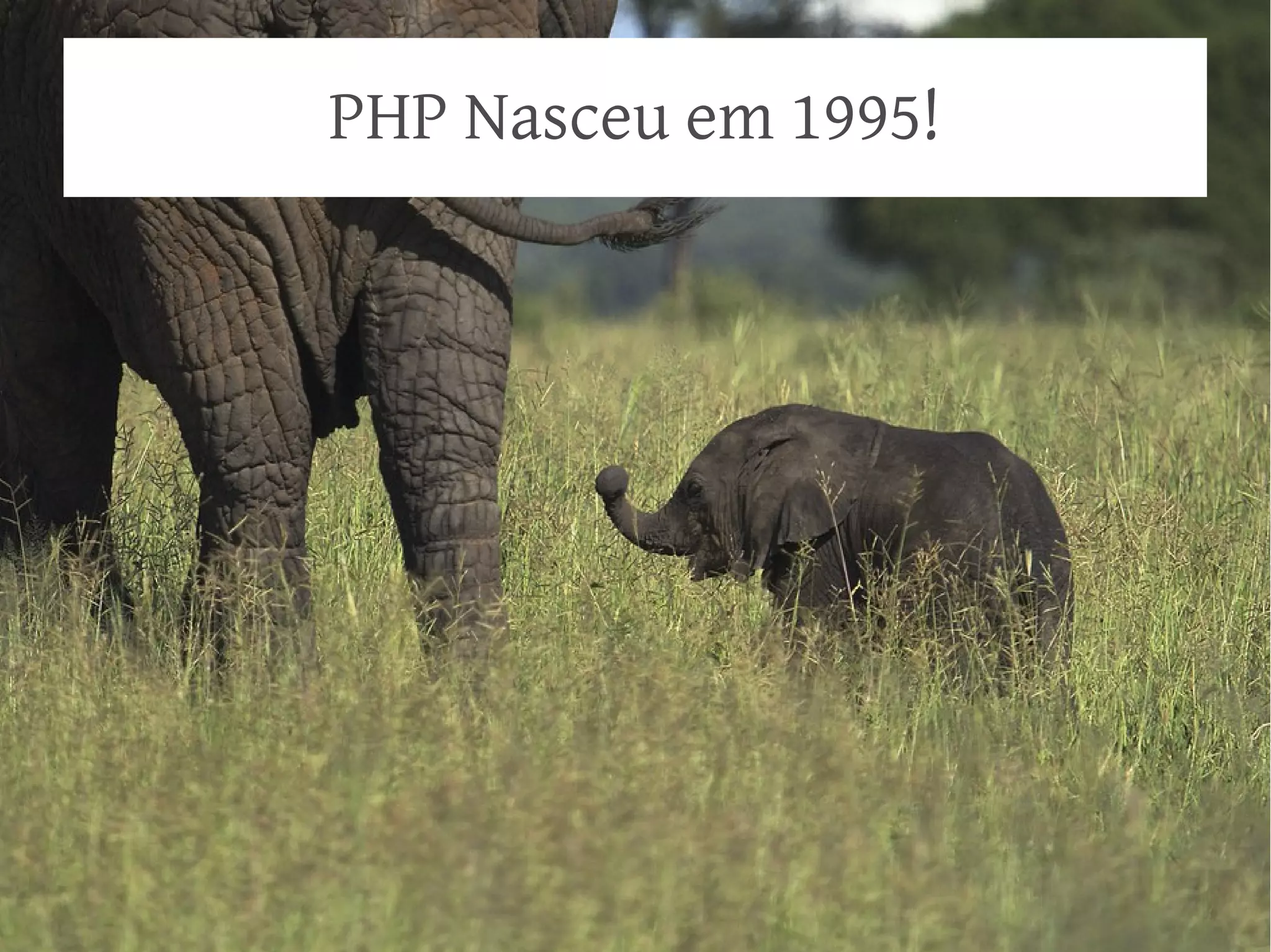 PHP Nasceu em 1995!

 