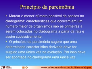 Princípio da parcimônia Marcar o menor número possível de passos no cladograma: características que ocorrem em um número maior de organismos são as primeiras a serem colocadas no cladograma a partir da raiz e assim sucessivamente. O princípio da parcimônia sugere que uma determinada característica derivada deve ter surgido uma única vez na evolução. Por isso deve ser apontada no cladograma uma única vez. 