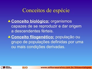 Conceitos de espécie Conceito biológico:  organismos capazes de se reproduzir e dar origem a descendentes férteis. Conceito filogenético:  população ou grupo de populações definidas por uma ou mais condições derivadas. 
