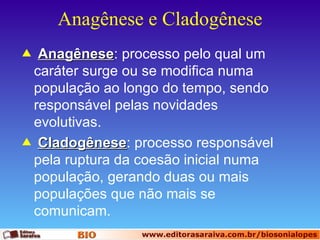 Anagênese e Cladogênese Anagênese : processo pelo qual um caráter surge ou se modifica numa população ao longo do tempo, sendo responsável pelas novidades evolutivas. Cladogênese : processo responsável pela ruptura da coesão inicial numa população, gerando duas ou mais populações que não mais se comunicam.  