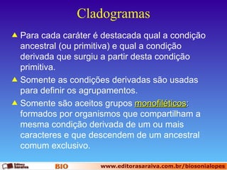 Cladogramas Para cada caráter é destacada qual a condição ancestral (ou primitiva) e qual a condição derivada que surgiu a partir desta condição primitiva. Somente as condições derivadas são usadas para definir os agrupamentos. Somente são aceitos grupos  monofiléticos :  formados por organismos que compartilham a mesma condição derivada de um ou mais caracteres e que descendem de um ancestral comum exclusivo.  