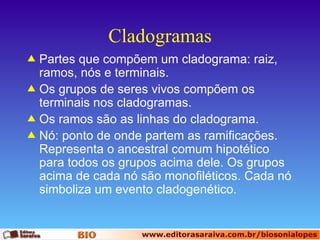 Cladogramas Partes que compõem um cladograma: raiz, ramos, nós e terminais.  Os grupos de seres vivos compõem os terminais nos cladogramas. Os ramos são as linhas do cladograma. Nó: ponto de onde partem as ramificações. Representa o ancestral comum hipotético para todos os grupos acima dele. Os grupos acima de cada nó são monofiléticos. Cada nó simboliza um evento cladogenético. 