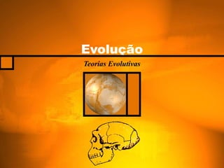 Evolução
Teorias Evolutivas
 