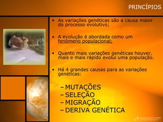 PRINCÍPIOS
• As variações genéticas são a causa maior
do processo evolutivo;
• A evolução é abordada como um
fenômeno populacional;
• Quanto mais variações genéticas houver,
mais e mais rápido evolui uma população.
• Há 4 grandes causas para as variações
genéticas:
– MUTAÇÕES
– SELEÇÃO
– MIGRAÇÃO
– DERIVA GENÉTICA
 