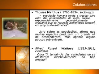 Colaboradores
• Thomas Malthus ( 1766-1834, sociólogo)
“ população humana tende a crescer parapopulação humana tende a crescer para
além das possibilidades do meio, crescealém das possibilidades do meio, cresce
exponencialmente, geometricamente ,exponencialmente, geometricamente ,
enquanto que os recursos alimentares crescemenquanto que os recursos alimentares crescem
em progressão aritmética”em progressão aritmética”
Livro sobre as populações, afirma que
muitas espécies produzem um grande nº
de descendentes, mas apenas alguns
poucos sobrevivem.
• Alfred Russel Wallace (1823-1913,
cientista)
Obra “A tendência das variedades de se
afastarem indefinidamente do tipo
original”
 