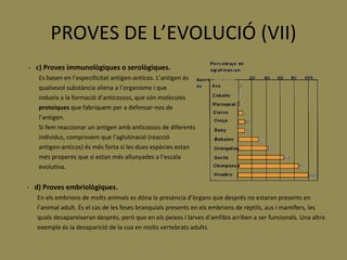 PROVES DE L’EVOLUCIÓ (VII)    -  c)   Proves immunològiques o serològiques. Es basen en l’especificitat antígen-anticos. L’antigen és  qualsevol substància aliena a l’organisme i que  indueix a la formació d’anticossos, que són molècules proteiques  que fabriquem per a defensar-nos de  l’antigen. Si fem reaccionar un antigen amb anticossos de diferents individus, comprovem que l’aglutinació (reacció  antigen-anticos) és més forta si les dues espècies estan  més properes que si estan més allunyades a l’escala  evolutiva. -   d) Proves embriològiques. En els embrions de molts animals es dóna la presència d’òrgans que després no estaran presents en l’animal adult. És el cas de les feses branquials presents en els embrions de rèptils, aus i mamífers, les quals desapareixeran després, però que en els peixos i larves d’amfibis arriben a ser funcionals. Una altre exemple és la desaparició de la cua en molts vertebrats adults. 