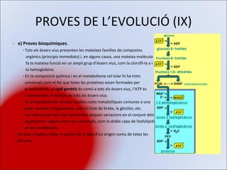 PROVES DE L’EVOLUCIÓ (IX) -   e) Proves bioquímiques . ·  Tots els éssers vius presenten les mateixes famílies de compostos  orgànics (principis immediats) i, en alguns casos, una mateixa molècula fa la mateixa funció en un ampli grup d’éssers vius, com la clorofil·la a i la hemoglobina. ·  En la composició química i en el metabolisme cel·lular hi ha trets  universals,com el fet que totes les proteïnes estan formades per  α-aminoàcids, el  codi genètic  és comú a tots els éssers vius, l’ATP és l’intermediari d’energia en tots els èssers vius. ·  En el metabolisme cel·lular moltes rutes metabòliques comunes a una  gran  varietat d’organismes, com el Cicle de Krebs, la glicòlisi, etc. ·  Les estructures cel·lulars presenten poques variacions en el conjunt dels organismes i alguns trets són universals, com la doble capa de fosfolípids en les membranes. Tot això s’explica millor si partim de la idea d’un origen comú de totes les cèl·lules.   