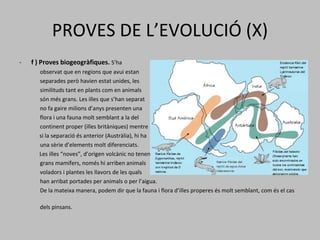 PROVES DE L’EVOLUCIÓ (X) f ) Proves biogeogràfiques.  S’ha  observat que en regions que avui estan  separades però havien estat unides, les  similituds tant en plants com en animals  són més grans. Les illes que s’han separat  no fa gaire milions d’anys presenten una  flora i una fauna molt semblant a la del continent proper (illes britàniques) mentre    si la separació és anterior (Austràlia), hi ha una sèrie d’elements molt diferenciats.   Les illes “noves”, d’origen volcànic no tenen grans mamífers, només hi arriben animals  voladors i plantes les llavors de les quals  han arribat portades per animals o per l’aigua.  De la mateixa manera, podem dir que la fauna i flora d’illes properes és molt semblant, com és el cas  dels pinsans.   