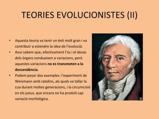 TEORIES EVOLUCIONISTES (II) Aquesta teoria va tenir un èxit molt gran i va  contribuir a estendre la idea de l’evolució. Avui sabem que, efectivament l’ús i el desús  dels òrgans condueixen a variacions, però  aquestes variacions  no es transmeten a la  descendència. Podem posar dos exemples: l’experiment de  Weismann amb ratolins, als quals va tallar la  cua durant moltes generacions, i la circumcisió  en els jueus, que encara no ha produït cap  variació morfològica.  