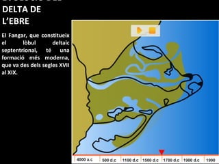 EVOLUCIÓ DEL DELTA DE L’EBRE El Fangar, que constitueix el lòbul deltaic septentrional, té una formació més moderna, que va des dels segles XVII al XIX. 