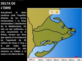 EVOLUCIÓ DEL DELTA DE L’EBRE Actualment el delta continua amb l’equilibri dinàmic de les forces constructives i la força erosionadora i distributiva de la Mediterrània. Els sòls no són uniformes. E més característic és el llimós, format per llims que aporta el riu (reducció de l’aportació de 20 milions de tones a l’any a 3, per culpa dels embassaments) Els sòls sorrencs es troben a la costa i a la ribera del riu. 