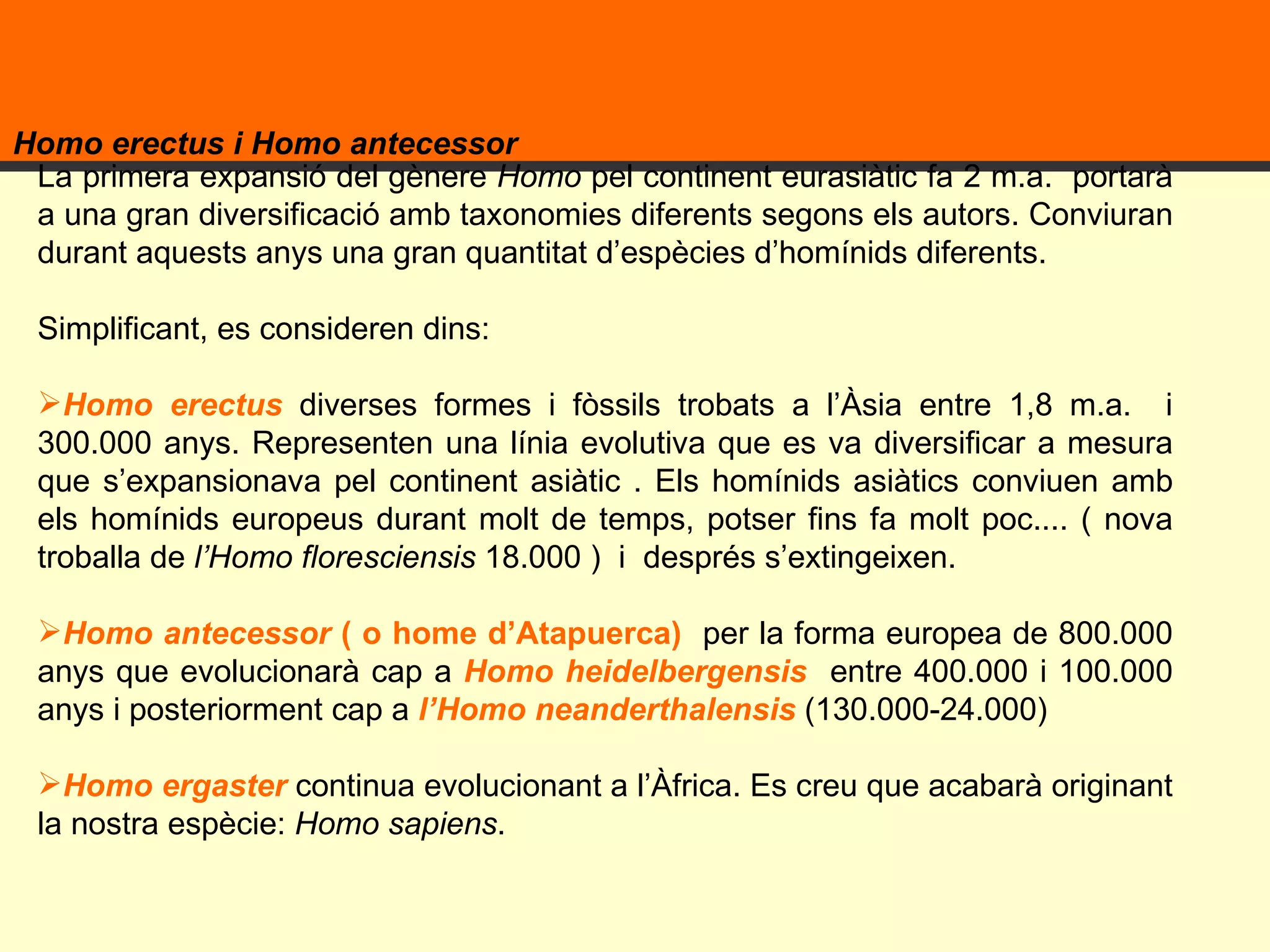 Homo erectus i Homo antecessor  La primera expansió del gènere  Homo  pel continent eurasiàtic fa 2 m.a.  portarà a una gran diversificació amb taxonomies diferents segons els autors. Conviuran durant aquests anys una gran quantitat d’espècies d’homínids diferents.  Simplificant, es consideren dins:  Homo erectus  diverses formes i fòssils trobats a l’Àsia entre 1,8 m.a.  i 300.000 anys. Representen una línia evolutiva que es va diversificar a mesura que s’expansionava pel continent asiàtic . Els homínids asiàtics conviuen amb els homínids europeus durant molt de temps, potser fins fa molt poc.... ( nova troballa de  l’Homo floresciensis  18.000 )  i  després s’extingeixen.  Homo antecessor  ( o home d’Atapuerca)  per la forma europea de 800.000 anys que evolucionarà cap a  Homo heidelbergensis   entre 400.000 i 100.000 anys i posteriorment cap a  l’Homo neanderthalensis  (130.000-24.000) Homo ergaster   continua evolucionant   a l’Àfrica. Es creu que acabarà originant la nostra espècie:  Homo sapiens .  