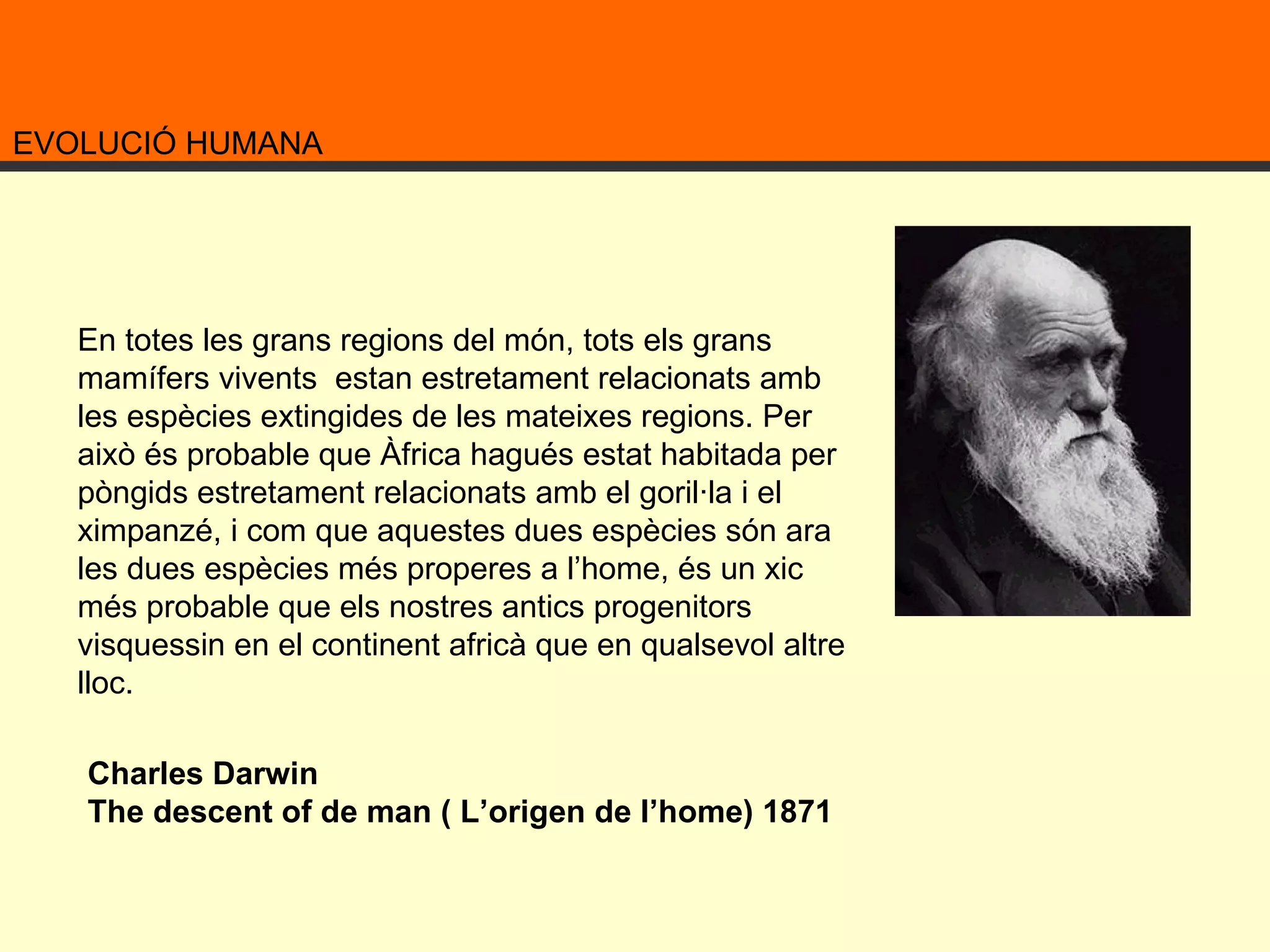 EVOLUCIÓ HUMANA En totes les grans regions del món, tots els grans mamífers vivents  estan estretament relacionats amb les espècies extingides de les mateixes regions. Per això és probable que Àfrica hagués estat habitada per pòngids estretament relacionats amb el goril·la i el ximpanzé, i com que aquestes dues espècies són ara les dues espècies més properes a l’home, és un xic més probable que els nostres antics progenitors visquessin en el continent africà que en qualsevol altre lloc. Charles Darwin The descent of de man ( L’origen de l’home) 1871 