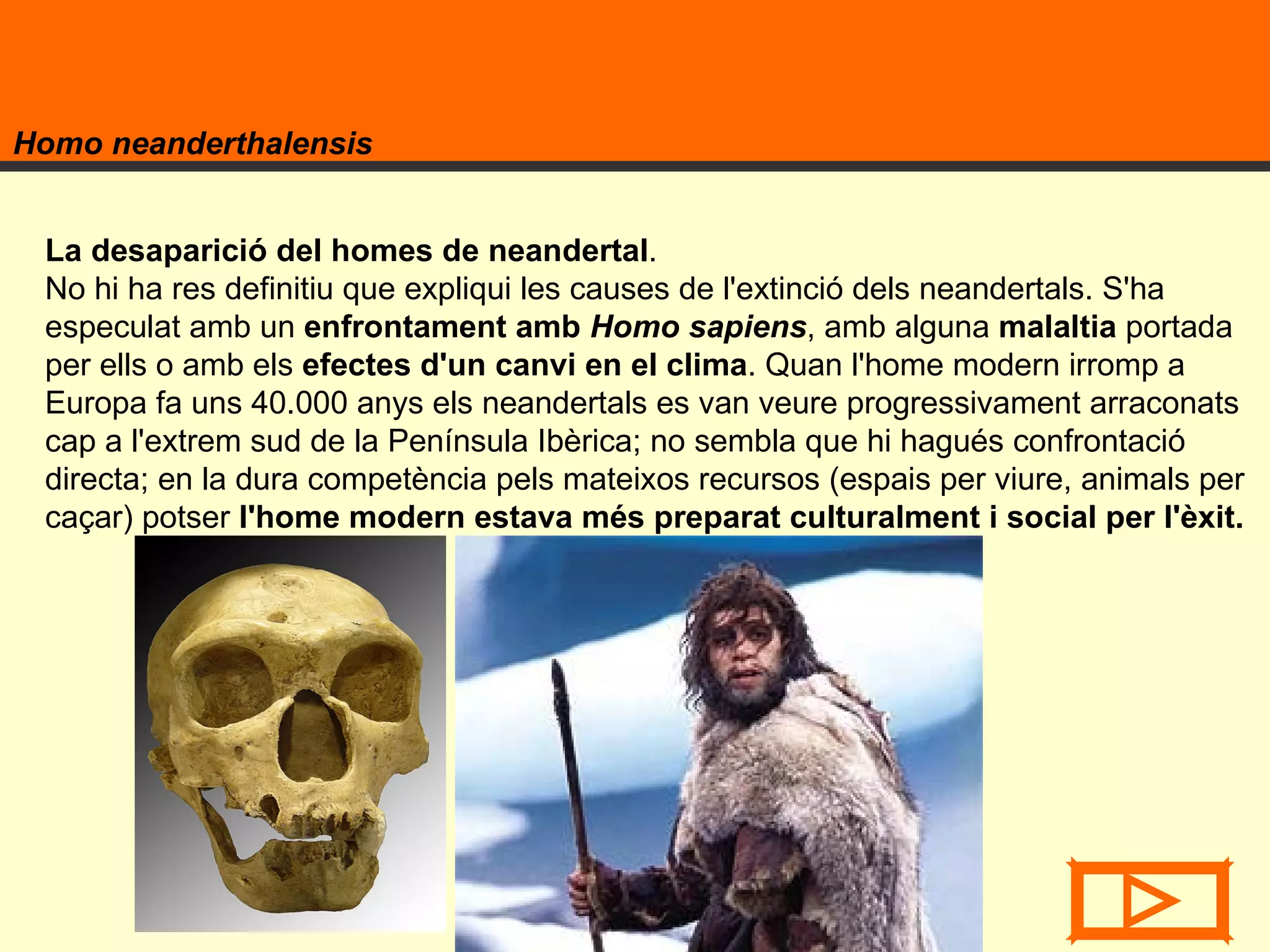Homo neanderthalensis La desaparició del homes de neandertal .  No hi ha res definitiu que expliqui les causes de l'extinció dels neandertals. S'ha especulat amb un  enfrontament amb  Homo sapiens , amb alguna  malaltia  portada per ells o amb els  efectes d'un canvi en el clima . Quan l'home modern irromp a Europa fa uns 40.000 anys els neandertals es van veure progressivament arraconats cap a l'extrem sud de la Península Ibèrica; no sembla que hi hagués confrontació directa; en la dura competència pels mateixos recursos (espais per viure, animals per caçar) potser  l'home modern estava més preparat culturalment i social per l'èxit. 