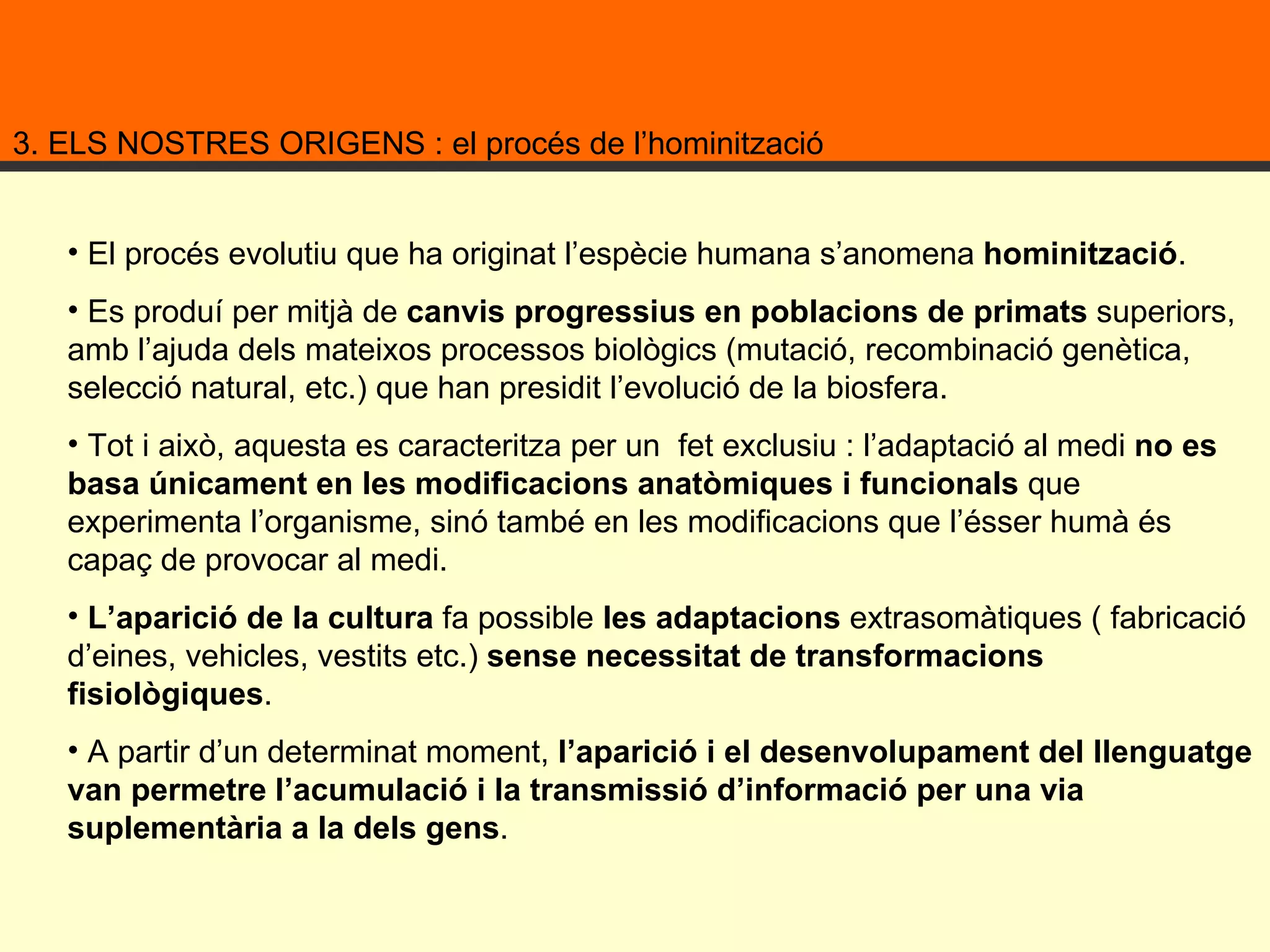 3. ELS NOSTRES ORIGENS : el procés de l’hominització El procés evolutiu que ha originat l’espècie humana s’anomena  hominització .  Es produí per mitjà de  canvis progressius en poblacions de primats  superiors, amb l’ajuda dels mateixos processos biològics (mutació, recombinació genètica, selecció natural, etc.) que han presidit l’evolució de la biosfera.  Tot i això, aquesta es caracteritza per un  fet exclusiu : l’adaptació al medi  no es basa únicament en les modificacions anatòmiques i funcionals  que experimenta l’organisme, sinó també en les modificacions que l’ésser humà és capaç de provocar al medi.  L’aparició de la cultura  fa possible  les adaptacions  extrasomàtiques ( fabricació d’eines, vehicles, vestits etc.)  sense necessitat de transformacions fisiològiques .  A partir d’un determinat moment,  l’aparició i el desenvolupament del llenguatge van permetre l’acumulació i la transmissió d’informació per una via suplementària a la dels gens .  