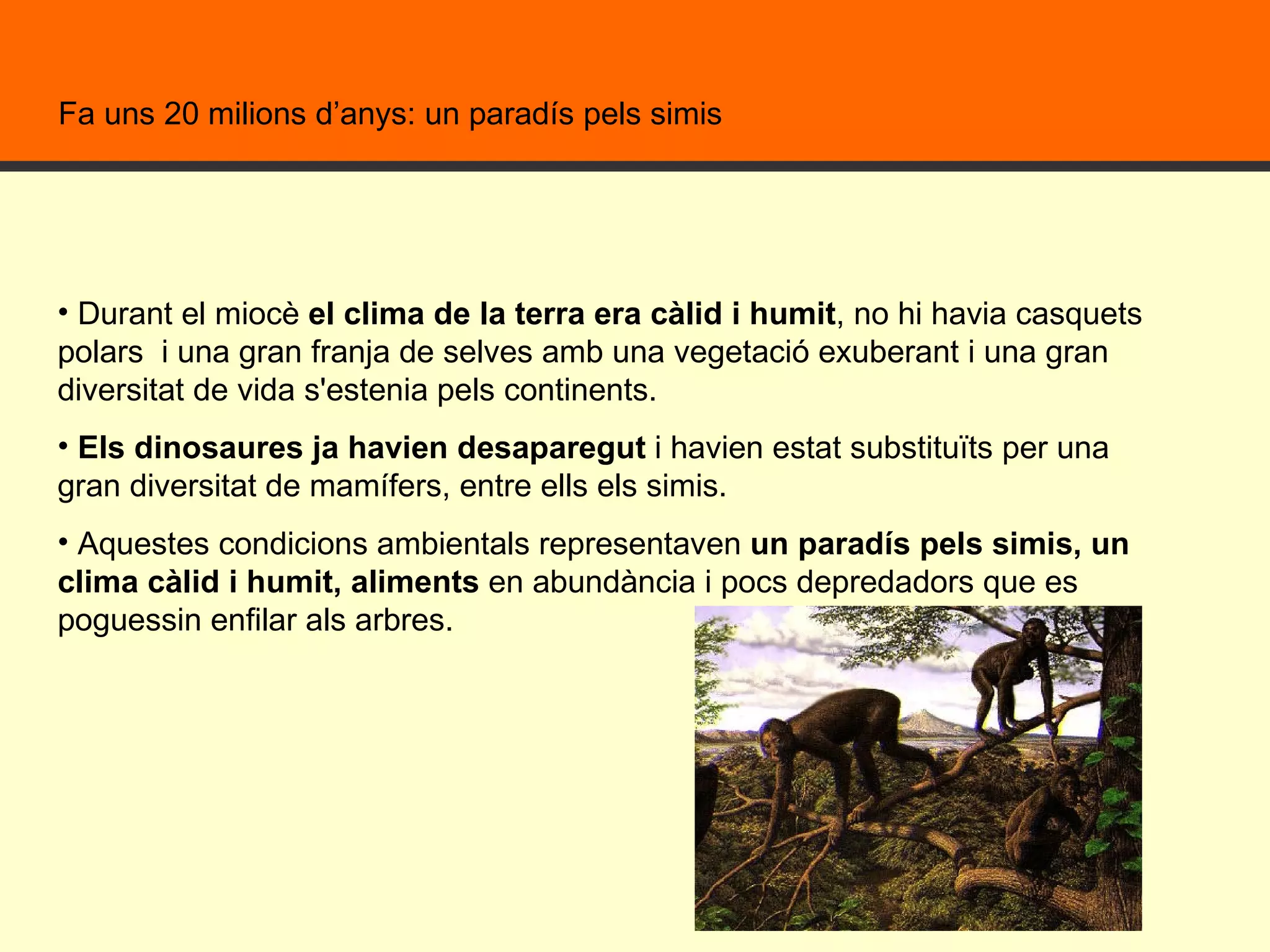 Durant el miocè  el clima de la terra era càlid i humit , no hi havia casquets polars  i una gran franja de selves amb una vegetació exuberant i una gran diversitat de vida s'estenia pels continents. Els dinosaures ja havien desaparegut  i havien estat substituïts per una gran diversitat de mamífers, entre ells els simis. Aquestes condicions ambientals representaven  un paradís pels simis, un clima càlid i humit, aliments  en abundància i pocs depredadors que es poguessin enfilar als arbres.  Fa uns 20 milions d’anys: un paradís pels simis  
