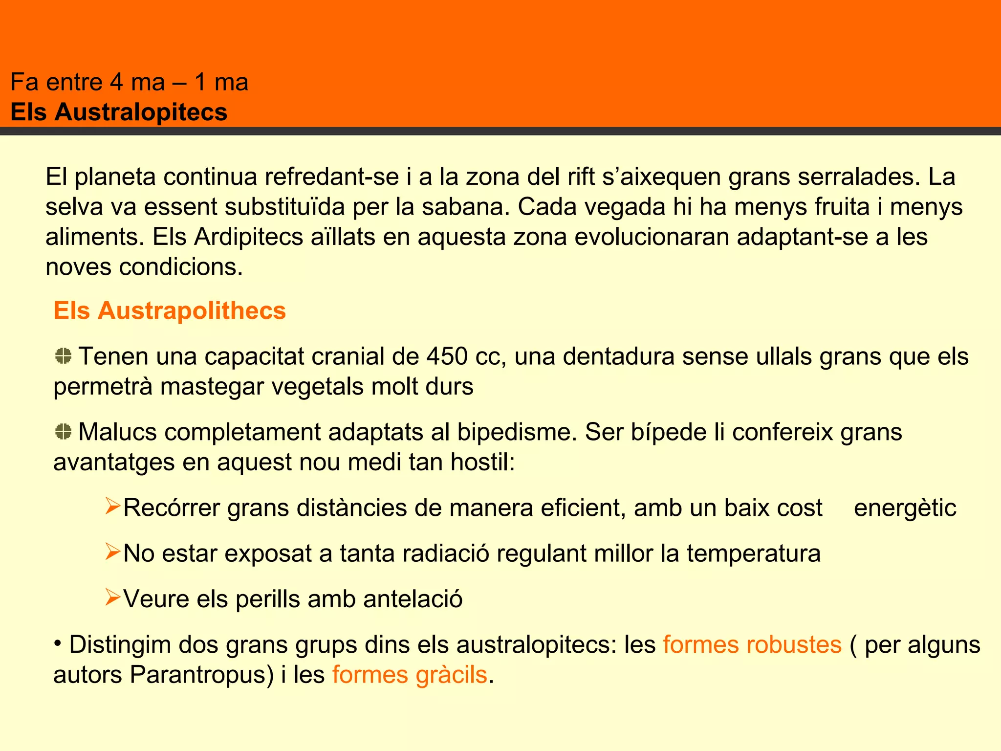Fa entre 4 ma – 1 ma Els Australopitecs El planeta continua refredant-se i a la zona del rift s’aixequen grans serralades. La selva va essent substituïda per la sabana. Cada vegada hi ha menys fruita i menys aliments. Els Ardipitecs aïllats en aquesta zona evolucionaran adaptant-se a les noves condicions. Els Austrapolithecs Tenen una capacitat cranial de 450 cc, una dentadura sense ullals grans que els permetrà mastegar vegetals molt durs Malucs completament adaptats al bipedisme. Ser bípede li confereix grans avantatges en aquest nou medi tan hostil: Recórrer grans distàncies de manera eficient, amb un baix cost  energètic No estar exposat a tanta radiació regulant millor la temperatura Veure els perills amb antelació Distingim dos grans grups dins els australopitecs: les  formes robustes  ( per alguns autors Parantropus) i les  formes gràcils . 