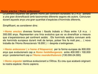 Homo erectus i Homo antecessor  La primera expansió del gènere  Homo  pel continent eurasiàtic fa 2 m.a.  portarà a una gran diversificació amb taxonomies diferents segons els autors. Conviuran durant aquests anys una gran quantitat d’espècies d’homínids diferents.  Simplificant, es consideren dins:  Homo erectus  diverses formes i fòssils trobats a l’Àsia entre 1,8 m.a.  i 300.000 anys. Representen una línia evolutiva que es va diversificar a mesura que s’expansionava pel continent asiàtic . Els homínids asiàtics conviuen amb els homínids europeus durant molt de temps, potser fins fa molt poc.... ( nova troballa de  l’Homo floresciensis  18.000 )  i  després s’extingeixen.  Homo antecessor  ( o home d’Atapuerca)  per la forma europea de 800.000 anys que evolucionarà cap a  Homo heidelbergensis   entre 400.000 i 100.000 anys i posteriorment cap a  l’Homo neanderthalensis  (130.000-24.000) Homo ergaster   continua evolucionant   a l’Àfrica. Es creu que acabarà originant la nostra espècie:  Homo sapiens .  