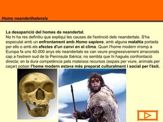 Homo neanderthalensis La desaparició del homes de neandertal .  No hi ha res definitiu que expliqui les causes de l'extinció dels neandertals. S'ha especulat amb un  enfrontament amb  Homo sapiens , amb alguna  malaltia  portada per ells o amb els  efectes d'un canvi en el clima . Quan l'home modern irromp a Europa fa uns 40.000 anys els neandertals es van veure progressivament arraconats cap a l'extrem sud de la Península Ibèrica; no sembla que hi hagués confrontació directa; en la dura competència pels mateixos recursos (espais per viure, animals per caçar) potser  l'home modern estava més preparat culturalment i social per l'èxit. 