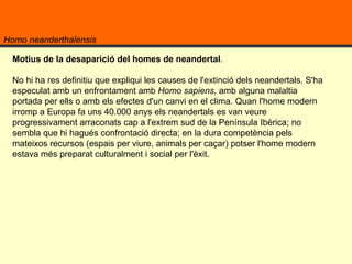 Homo neanderthalensis Motius de la desaparició del homes de neandertal .  No hi ha res definitiu que expliqui les causes de l'extinció dels neandertals. S'ha especulat amb un enfrontament amb  Homo sapiens , amb alguna malaltia portada per ells o amb els efectes d'un canvi en el clima. Quan l'home modern irromp a Europa fa uns 40.000 anys els neandertals es van veure progressivament arraconats cap a l'extrem sud de la Península Ibèrica; no sembla que hi hagués confrontació directa; en la dura competència pels mateixos recursos (espais per viure, animals per caçar) potser l'home modern estava més preparat culturalment i social per l'èxit. 