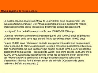 Homo sapiens : la nostra espècie La nostra espècie apareix a l’Àfrica  fa uns 200.000 anys possiblement  per evolució  d’Homo ergaster . De l’Àfrica s’estendrà a tots els continents mentre progressivament la altres  d’espècies d’homínids aniran desapareixent .  La migració fora de l’Àfrica es produí fa uns 100.000-70.000 anys  Diversos fenòmens atmosfèrics produiran que fa uns 100.000 anys es produeixi un refredament de la terra  que durarà fins fa aproximadament 15.000 anys  Fa uns 35.000 anys hi haurà un període interglacial més càlid que permetrà una millor expansió de  l’Homo sapiens  per Europa ( provocant possiblement l’extinció dels neanderthals. Un cop transcorregut aquest període torna a venir un període glacial molt fred a Europa  ( glaciació de Würm) que anirà des de fa 21.000 fins a 12.000 anys. Durant aquest període de temps les condicions seran duríssimes per  l’Homo sapiens  ( semblants a les que suporten algunes poblacions d’esquimals) i l’única font d’aliment seran els animals ( Caçadors de grans herbívors, búfals, mamuts etc. ) . 