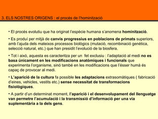 3. ELS NOSTRES ORIGENS : el procés de l’hominització El procés evolutiu que ha originat l’espècie humana s’anomena  hominització .  Es produí per mitjà de  canvis progressius en poblacions de primats  superiors, amb l’ajuda dels mateixos processos biològics (mutació, recombinació genètica, selecció natural, etc.) que han presidit l’evolució de la biosfera.  Tot i això, aquesta es caracteritza per un  fet exclusiu : l’adaptació al medi  no es basa únicament en les modificacions anatòmiques i funcionals  que experimenta l’organisme, sinó també en les modificacions que l’ésser humà és capaç de provocar al medi.  L’aparició de la cultura  fa possible  les adaptacions  extrasomàtiques ( fabricació d’eines, vehicles, vestits etc.)  sense necessitat de transformacions fisiològiques .  A partir d’un determinat moment,  l’aparició i el desenvolupament del llenguatge van permetre l’acumulació i la transmissió d’informació per una via suplementària a la dels gens .  