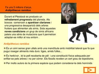 Fa uns 5 milions d’anys.  Ardipithecus ramidus   Ardipithecus ramidus És un simi sense gran ullals amb una mandíbula amb mobilitat lateral que fa que pugui rosegar aliments més durs: tiges, arrels fulles... És herbívor , té la pell recoberta de pèl  i una constitució física adequada per enfilar-se pels arbres i no per córrer. Els fòssils revelen un cert grau de bipedisme. Per molts autors és la primera espècie que podem considerar-la dels homínids Durant el Pleistocè es produeix un  refredament progressiu  del planeta. Als boscos  comencen a  aparèixer clarianes  i una progressiva desaparició dels arbres fruiters que alimenten als simis. Sota aquestes  noves condicions  un grup de simis africans pateix una sèrie de mutacions que li permetran adaptar-se millor al nou entorn . 