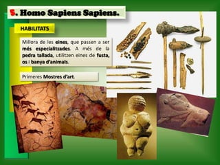 5. Homo Sapiens Sapiens.
  HABILITATS

  Millora de les eines, que passen a ser
  més especialitzades. A més de la
  pedra tallada, utilitzen eines de fusta,
  os i banya d’animals.

  Primeres Mostres d’art.
 