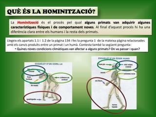 QUÈ ÉS LA HOMINITZACIÓ?
  La Hominització és el procés pel qual alguns primats van adquirir algunes
  característiques físiques i de comportament noves. Al final d’aquest procés hi ha una
  diferència clara entre els humans i la resta dels primats.

Llegeix els apartats 1.1 i 1.2 de la pàgina 134 i fes la pregunta 1 de la mateixa pàgina relacionades
amb els canvis produïts entre un primat i un humà. Contesta també la següent pregunta:
      • Quines noves condicions climàtiques van afectar a alguns primats? On va passar i quan?
 