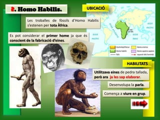 2. Homo Habilis.                         UBICACIÓ

         Les troballes de fòssils d’Homo Habilis
         s’estenen per tota Àfrica.

Es pot considerar el primer home ja que és
conscient de la fabricació d’eines.




                                                                 HABILITATS
                                             Utilitzava eines de pedra tallada,
                                             però ara ja les sap elaborar.
                                                      Desenvolupa la parla.

                                                   Comença a viure en grup.
 