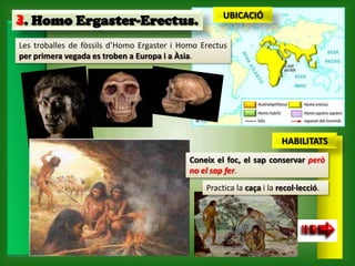 UBICACIÓ
3. Homo Ergaster-Erectus.
Les troballes de fòssils d’Homo Ergaster i Homo Erectus
per primera vegada es troben a Europa i a Àsia.




                                                                        HABILITATS
                                             Coneix el foc, el sap conservar però
                                             no el sap fer.
                                                 Practica la caça i la recol·lecció.
 