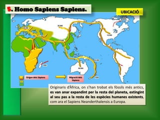 5. Homo Sapiens Sapiens.                                                UBICACIÓ




     Orígen dels Sàpiens               Migració dels
                                         Sàpiens


                           Originaris d’Àfrica, on s’han trobat els fòssils més antics,
                           es van anar expandint per la resta del planeta, extingint
                           al seu pas a la resta de les espècies humanes existents,
                           com ara el Sapiens Neanderthalensis a Europa.
 