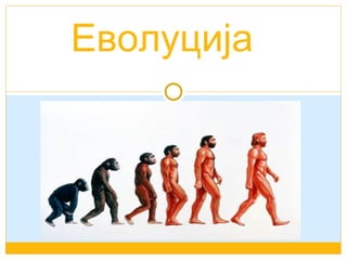 Еволуција
 