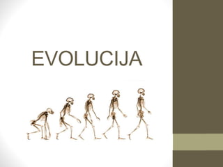 EVOLUCIJA
 