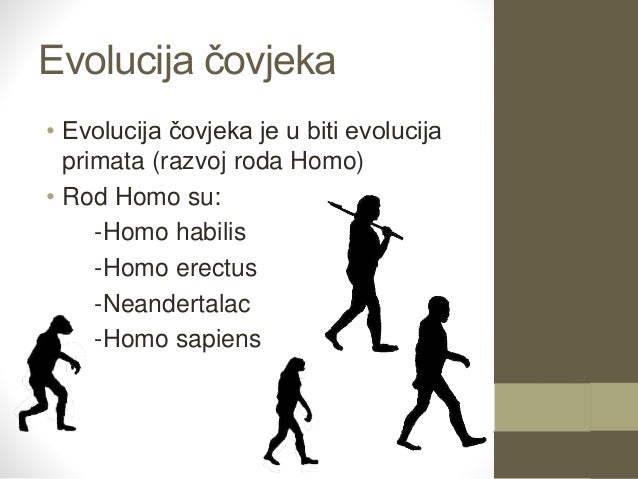 Evolucija čovjeka prezentacija