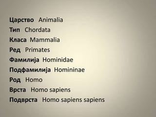 Царство Animalia
Тип Chordata
Класа Mammalia
Ред Primates
Фамилија Hominidae
Подфамилија Homininae
Род Homo
Врста Homo sapiens
Подврста Homo sapiens sapiens
 