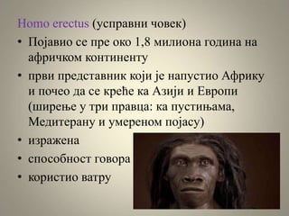 Homo erectus (усправни човек)
• Појавио се пре око 1,8 милиона година на
афричком континенту
• први представник који је напустио Африку
и почео да се креће ка Азији и Европи
(ширење у три правца: ка пустињама,
Медитерану и умереном појасу)
• изражена
• способност говора
• користио ватру
 