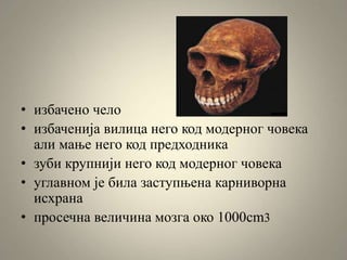 • избачено чело
• избаченија вилица него код модерног човека
али мање него код предходника
• зуби крупнији него код модерног човека
• углавном је била заступњена карниворна
исхрана
• просечна величина мозга око 1000cm3
 