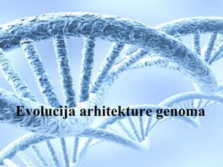 Evolucija arhitekture genoma
 