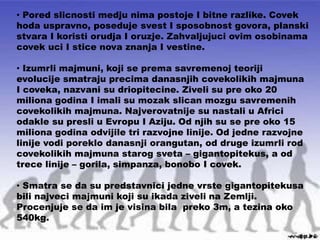 • Pored slicnosti medju nima postoje I bitne razlike. Covek
hoda uspravno, poseduje svest I sposobnost govora, planski
stvara I koristi orudja I oruzje. Zahvaljujuci ovim osobinama
covek uci I stice nova znanja I vestine.
• Izumrli majmuni, koji se prema savremenoj teoriji
evolucije smatraju precima danasnjih covekolikih majmuna
I coveka, nazvani su driopitecine. Ziveli su pre oko 20
miliona godina I imali su mozak slican mozgu savremenih
covekolikih majmuna. Najverovatnije su nastali u Africi
odakle su presli u Evropu I Aziju. Od njih su se pre oko 15
miliona godina odvijile tri razvojne linije. Od jedne razvojne
linije vodi poreklo danasnji orangutan, od druge izumrli rod
covekolikih majmuna starog sveta – gigantopitekus, a od
trece linije – gorila, simpanza, bonobo I covek.
• Smatra se da su predstavnici jedne vrste gigantopitekusa
bili najveci majmuni koji su ikada ziveli na Zemlji.
Procenjuje se da im je visina bila preko 3m, a tezina oko
540kg.
 