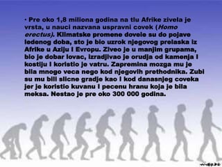 • Pre oko 1,8 miliona godina na tlu Afrike zivela je
vrsta, u nauci nazvana uspravni covek (Homo
erectus). Klimatske promene dovele su do pojave
ledenog doba, sto je bio uzrok njegovog prelaska iz
Afrike u Aziju I Evropu. Ziveo je u manjim grupama,
bio je dobar lovac, izradjivao je orudja od kamenja I
kostiju I koristio je vatru. Zapremina mozga mu je
bila mnogo veca nego kod njegovih prethodnika. Zubi
su mu bili slicne gradje kao I kod danasnjeg coveka
jer je koristio kuvanu I pecenu hranu koja je bila
meksa. Nestao je pre oko 300 000 godina.
 