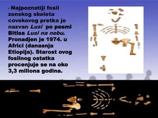 • Najpoznatiji fosil
zenskog skeleta
covekovog pretka je
nazvan Lusi po pesmi
Bitlsa Lusi na nebu.
Pronadjen je 1974. u
Africi (danasnja
Etiopija). Starost ovog
fosilnog ostatka
procenjuje se na oko
3,3 miliona godina.
 