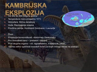    Od 542 do 488 milijuna godina
   Temperatura mora prosječno 15°C
   Atmosfera: Slična današnjoj
   Voda: Razdvajanje oceana
   Površina zemlje: Kontinenti Gondvana i Laurazija

   Ţivot:
   Eksplozija bioraznolikosti –dominiraju člankonošci
   Prvi hranidbeni lanci – predatori i biljojedi
   Prve skupine organa – oči, egzoskeleton, kraljeţnice, udovi...
   Veoma velika različitost bioloških formi (od kojih mnoge danas ne postoje)
 