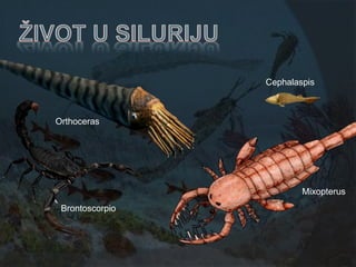 Cephalaspis



Orthoceras




                         Mixopterus
 Brontoscorpio
 