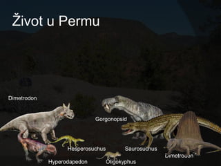 Ţivot u Permu




Dimetrodon


                             Gorgonopsid




                   Hesperosuchus         Saurosuchus
                                                       Dimetrodon
             Hyperodapedon         Oligokyphus
 