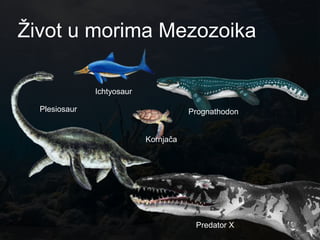 Ţivot u morima Mezozoika

               Ichtyosaur

  Plesiosaur                           Prognathodon


                            Kornjača




                                        Predator X
 