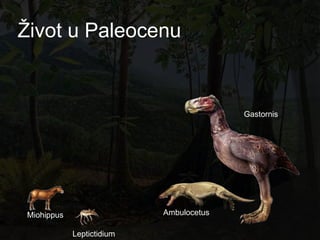 Ţivot u Paleocenu


                                         Gastornis




Miohippus                  Ambulocetus

            Leptictidium
 