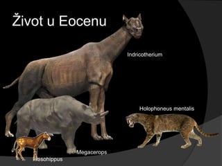 Ţivot u Eocenu

                             Indricotherium




                                 Holophoneus mentalis




                Megacerops
   Mesohippus
 