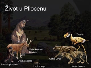 Ţivot u Pliocenu



                                                                  Titanis




                             Veliki kopneni
                             ljenjivac

                                                Canis Dirus
                   Synthetoceras
Australopithecus
                                   Leptomeryx                 Hoplophoneus
 