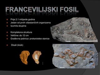    Prije 2.1 milijarde godina
   Jedan od prvih višestaničnih organizama
   Izumrla skupina

   Kompleksna struktura
   Veličina: do 12 cm
   Građevna jedinica: prokariotske stanice

   Disali (kisik)
 
